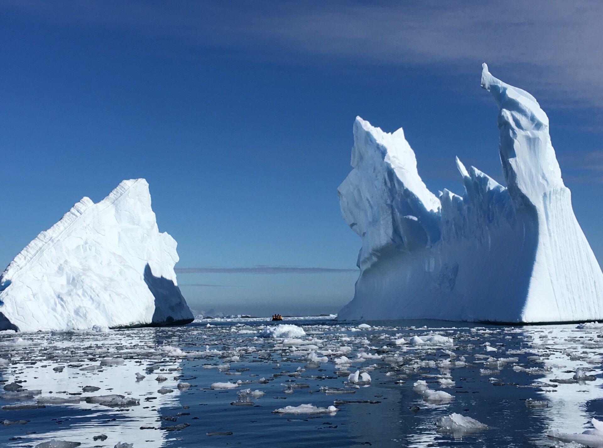 南極に行きたい！氷山に大接近